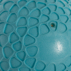 Pelota Softee Sensorial Net
