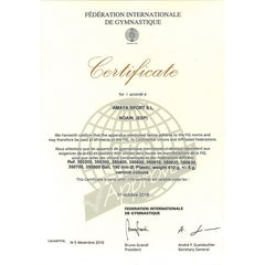 Pelota Gimnasia Rítmica Competición Oficial