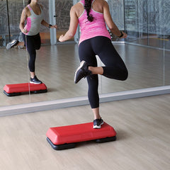 Ministep Profesional