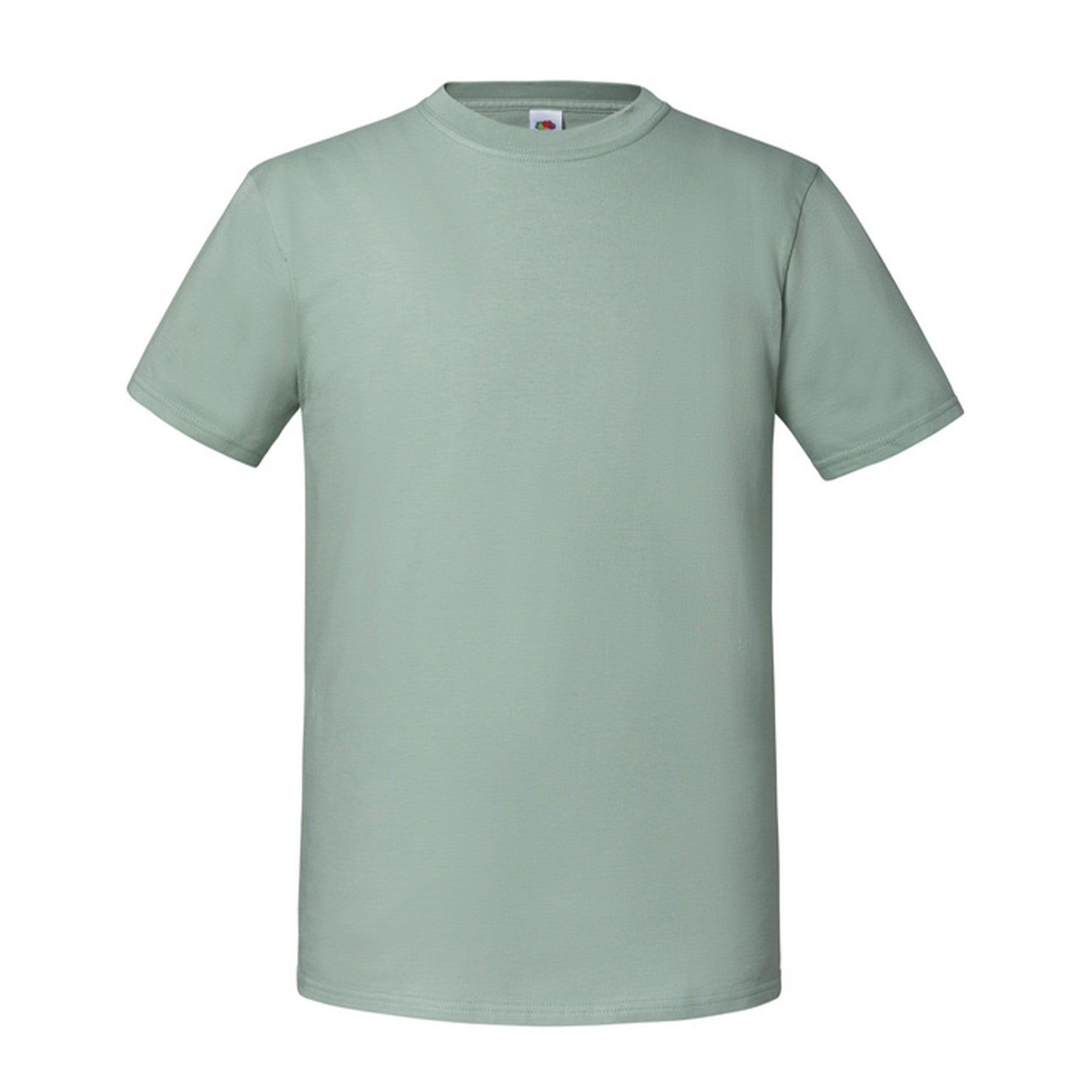 Camiseta Fruit Of The Loom Iconic 195 Premium Tees Adulto