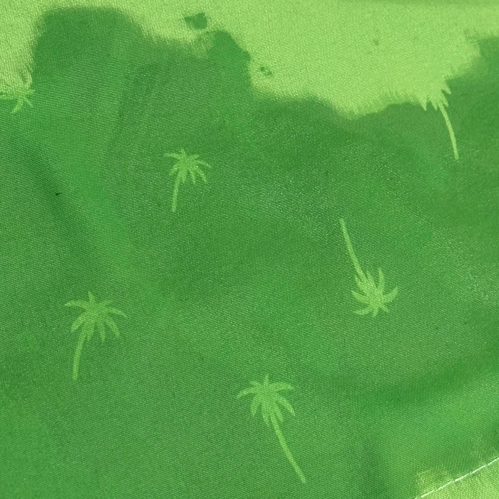 Bañador Softee Palm