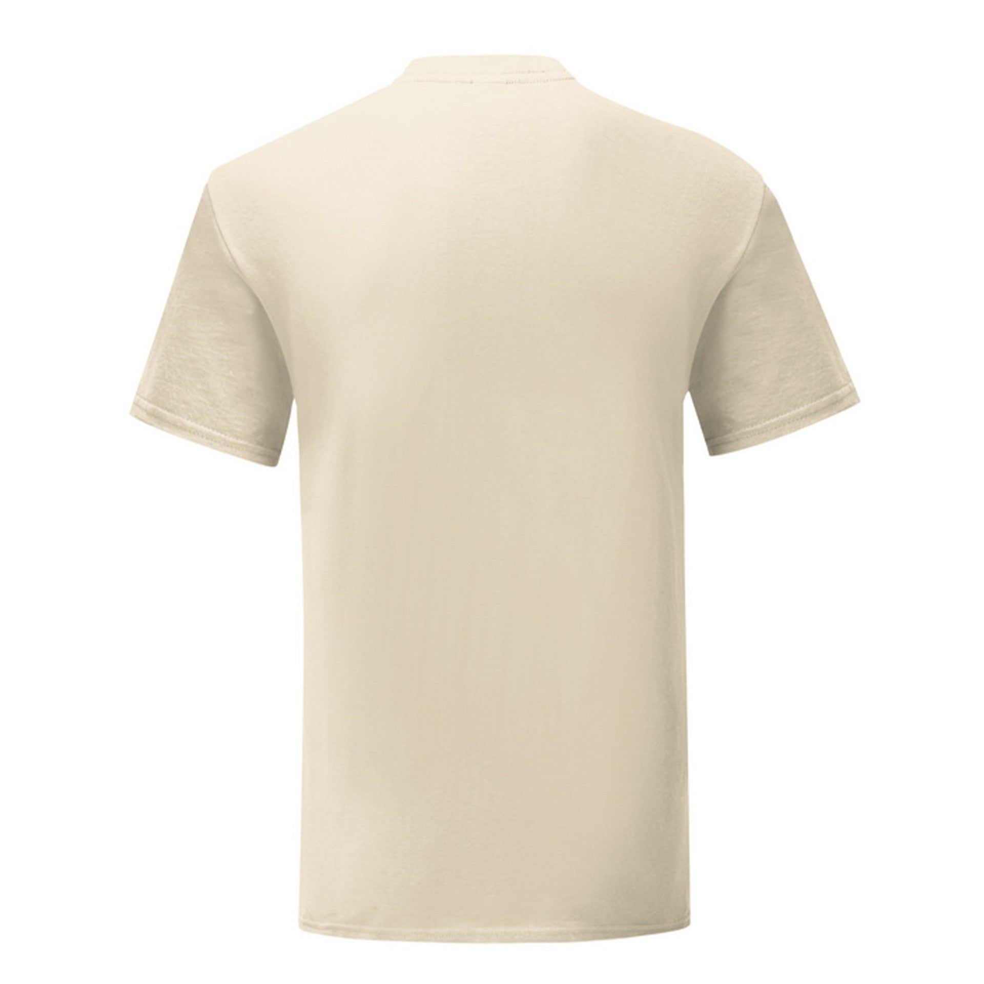 Camiseta Fruit Of The Loom Iconic 150 T
