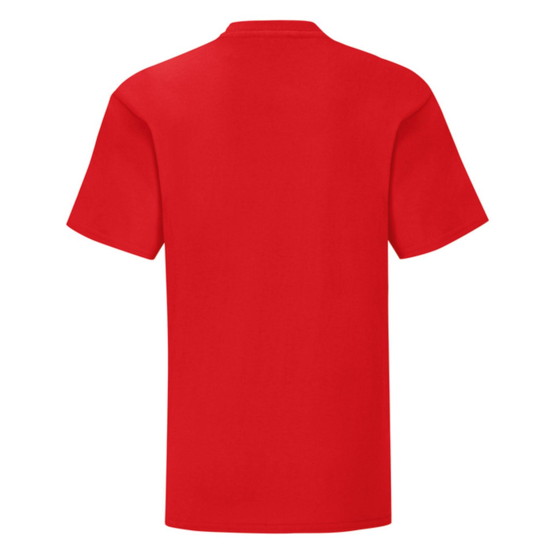 Camiseta Fruit Of The Loom Kids Iconic 150 T