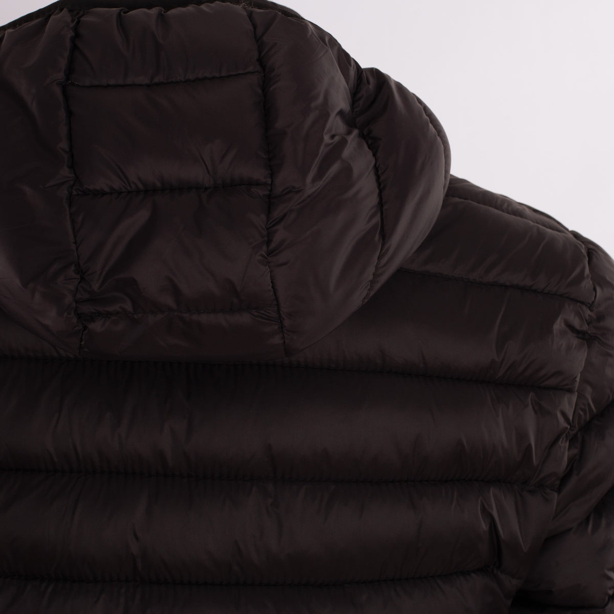 Jacket Softee Discover
