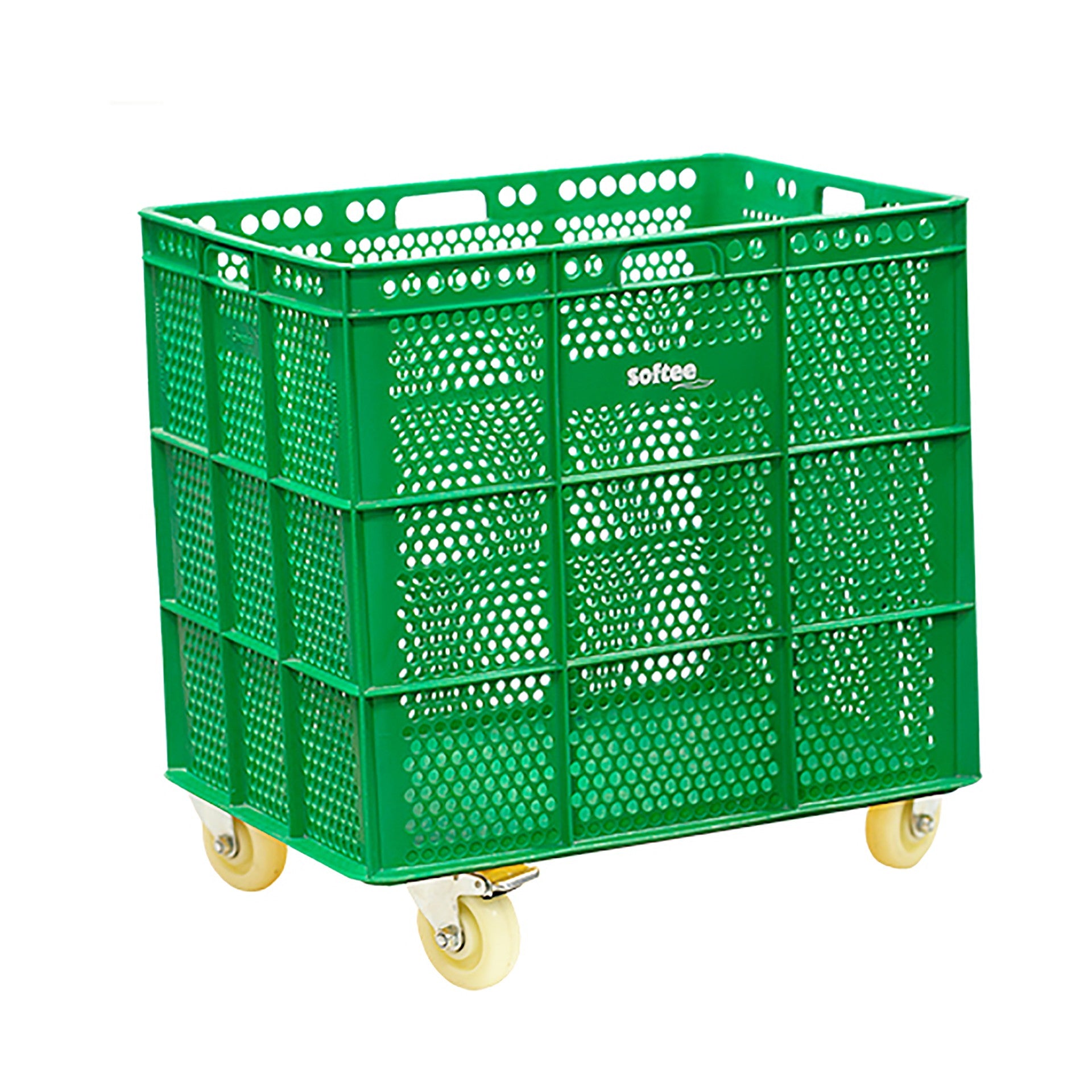 Banasta Con Ruedas Inox - Verde / 1