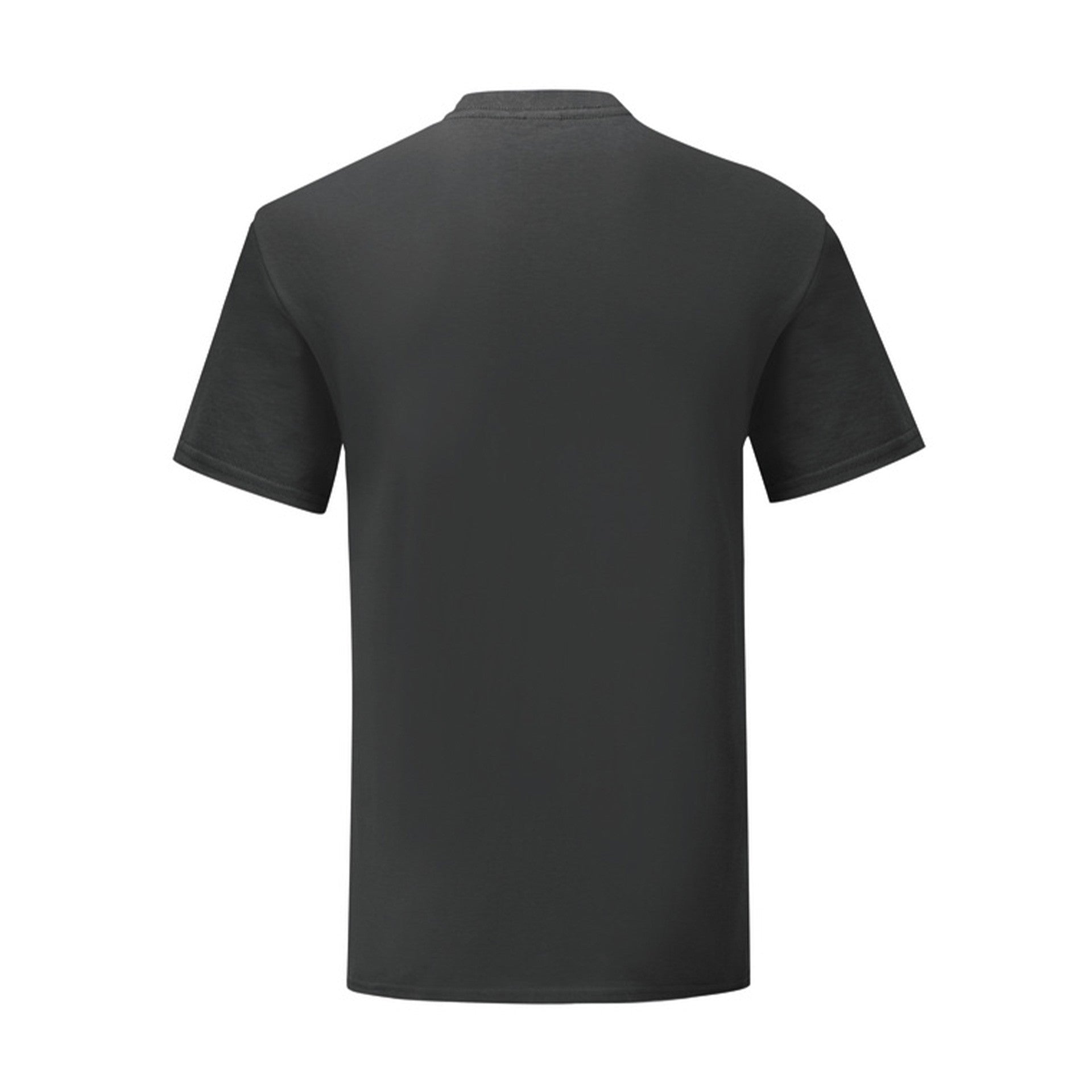 Camiseta Fruit Of The Loom Iconic 150 T