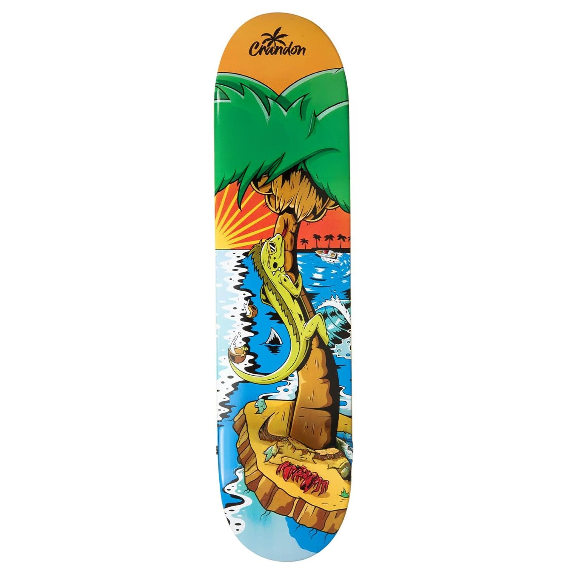 Skate Crandon Palmdeck - Único / 825 Mm